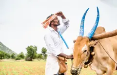 વરસાદની રાહ જોઈ રહેલો ખેડૂત