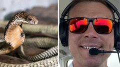 How snake for plane make pilot make emergency landing