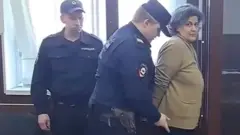 Ana Aleksandrova u lisicama