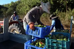 ඊශ්‍රායල් රැකියා