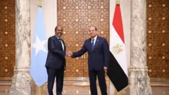 الرئيس المصري ونظيره الصومالي خلال مراسم التوقيع على اتفاق عسكري بين البلدين 
