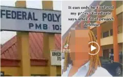 Ọmọ ile ẹkọ Poly Nekede
