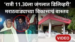 मराठवाड्याचा किती विकास झाला? 