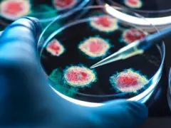 प्रातिनिधिक छायाचित्र