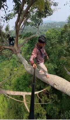 තරුණයන් දෙදෙනෙක් උස ගසක අත්තක් මත ගමන් කරණු පෙනේ.