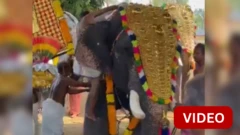 கேரளாவில் இளைஞரை தும்பிக்கையால் தூக்கி வீசிய யானை