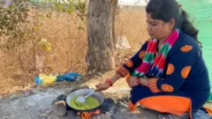 हुरडा 