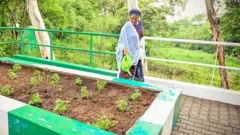 Nigeria first lady Remi Tinubu dey tend to her garden