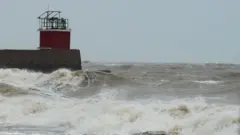 பிபர்ஜாய் புயல், இந்தியா, குஜராத்