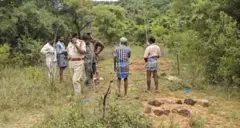 આંધ્ર પ્રદેશ, તિરુપતિ, હત્યા, ગુનો, બીબીસી ગુજરાતી 