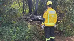 Un bombero con uniforme amarillo frente a una zona boscosa