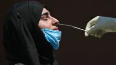 कोरोना वायरस