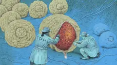 Ilustração de células T, com forma humana, abrindo o zíper de uma célula para revelar um tumor no seu interior