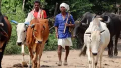 ગઢચિરોલી