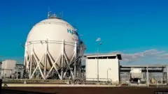 green hydrogen fuel of the future from saudi arabia