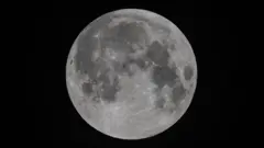Ay