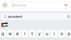 لقطة شاشة للرمز التعبيري للعلم الفلسطيني