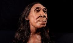 Modèle 3D d'une tête de Neandertal