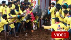 அவனியாபுரம் ஜல்லிக்கட்டு: 5 சிறப்பான சம்பவங்கள்