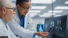 ਡੀਮੈਂਸ਼ੀਆ 