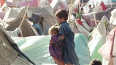 افغان