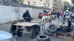 حمار يجر عربة في غزة