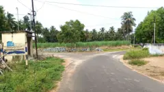 நாமக்கல்: பண்ணை வீட்டில் மூதாட்டி கொலை - ரத்த வெள்ளத்தில் உதவி கேட்ட சாமியாத்தாள் என்ன ஆனார்?