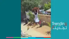 فتاة تواجه دبة لحماية كلابها
