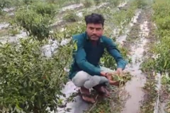 ખેડૂત