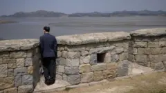 Güney Kore'ye ait Ganghwa adasından Kuzey Kore'ye bakan bir kişi
