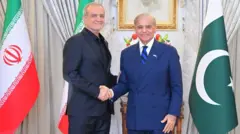 شہباز شریف، مسعود پزشکیان