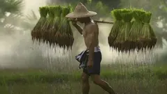 ਝੋਨਾ