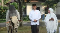 Presiden Joko Widodo dan Ibu Negara Iriana Widodo berdiri di sebelah sapi kurban.