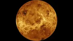 كوكب الزهرة