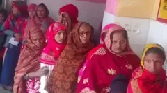 రేబిస్ టీకా 