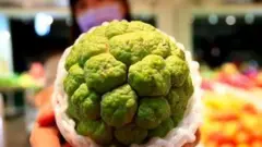 suger apples