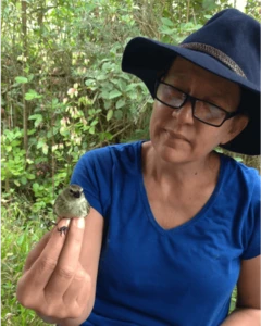 A pesquisadora Sonia Kleindorfer segura um pequeno tentilhão