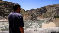 प्रातिनिधिक फोटो