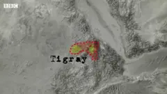 ትግራይ