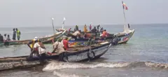 Des pirogues sur le quai de pêche de Yoff à Dakar. 
