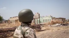 Nigerian soldier