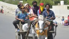 કોરોના વાઇરસ