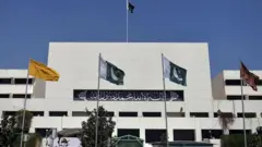 کرکٹ