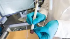 cancer, medicine, science