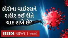 કોરોના વાઇરસ