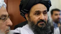 طالبان