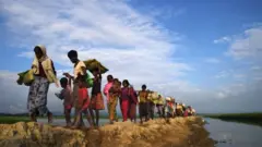 মিয়ানমারের সামরিক বাহিনীর নির্যাতনের মুখে লাখ লাখ রোহিঙ্গা বাংলাদেশে পালিয়ে আসে।