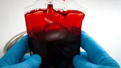 ગોલ્ડન બ્લડ