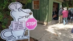 Rat sign for front of building