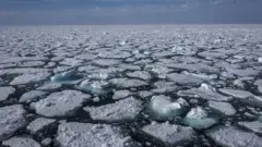 Pedaços de gelo flutuando no oceano em Svalbard, no Ártico.